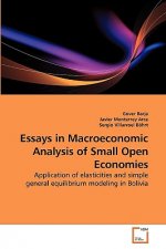 Essays in Macroeconomic Analysis of Small Open Economies