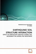 Earthquake Soil Structure Interaction