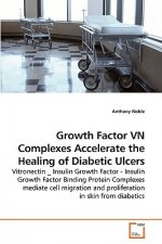 Growth Factor VN Complexes Accelerate the Healing of Diabetic Ulcers