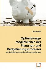 Optimierungs- moeglichkeiten des Planungs- und Budgetierungsprozesses