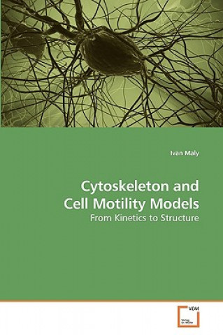 Cytoskeleton and Cell Motility Models