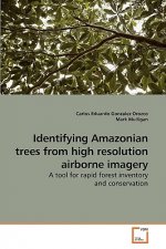 Identifying Amazonian trees from high resolution airborne imagery