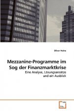 Mezzanine-Programme im Sog der Finanzmarktkrise