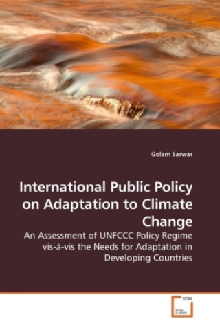 International Public Policy on Adaptation to Climate Change
