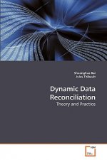 Dynamic Data Reconciliation