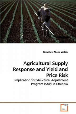 Agricultural Supply Response and Yield and Price Risk
