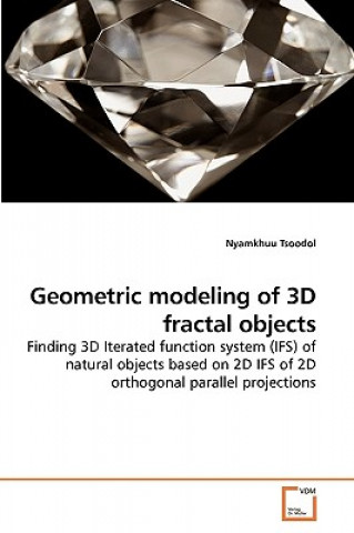 Geometric modeling of 3D fractal objects