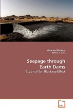 Seepage through Earth Dams