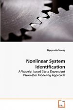 Nonlinear System Identification