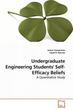 Undergraduate Engineering Students' Self-Efficacy Beliefs