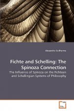 Fichte and Schelling