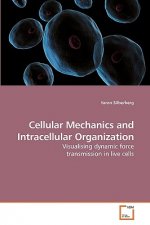 Cellular Mechanics and Intracellular Organization