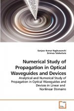 Numerical Study of Propagation in Optical Waveguides and Devices