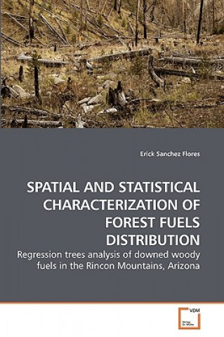 Spatial and Statistical Characterization of Forest Fuels Distribution