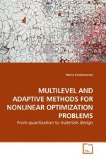 MULTILEVEL AND ADAPTIVE METHODS FOR NONLINEAR OPTIMIZATION PROBLEMS