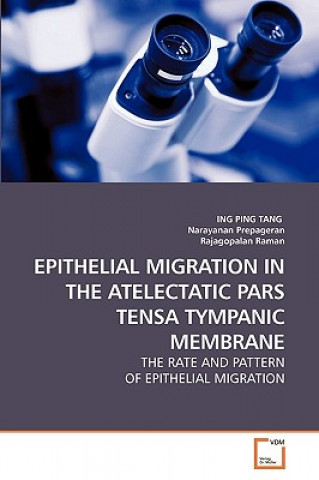 Epithelial Migration in the Atelectatic Pars Tensa Tympanic Membrane