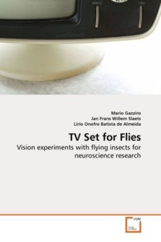 TV Set for Flies