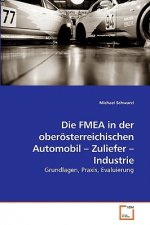 FMEA in der oberoesterreichischen Automobil - Zuliefer - Industrie