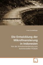 Die Entwicklung der Mikrofinanzierung in Indonesien