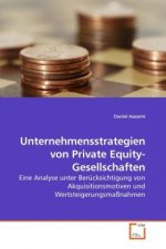 Unternehmensstrategien von Private Equity-Gesellschaften