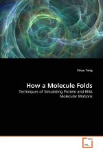 How a Molecule Folds