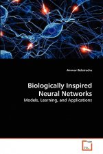 Biologically Inspired Neural Networks