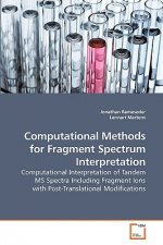 Computational Methods for Fragment Spectrum Interpretation