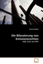 Bilanzierung von Emissionsrechten
