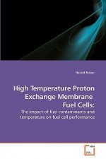 High Temperature Proton Exchange Membrane Fuel Cells