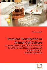 Transient Transfection in Animal Cell Culture