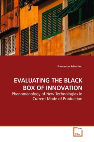 EVALUATING THE BLACK BOX OF INNOVATION