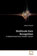 Multiscale Face Recognition
