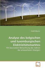 Analyse des belgischen und luxemburgischen Elektrizitatsmarktes