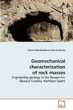 Geomechanical characterization of rock masses