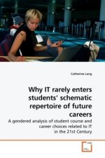 Why IT rarely enters students  schematic repertoire of future careers