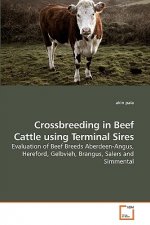 Crossbreeding in Beef Cattle using Terminal Sires