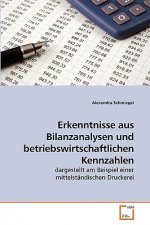 Erkenntnisse aus Bilanzanalysen und betriebswirtschaftlichen Kennzahlen