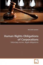 Human Rights Obligations of Corporations