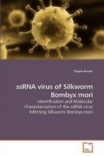 ssRNA virus of Silkworm Bombyx mori