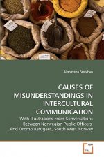 Causes of Misunderstandings in Intercultural Communication