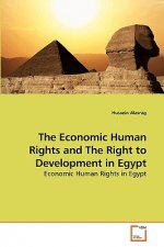 Economic Human Rights and The Right to Development in Egypt
