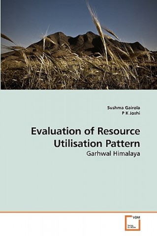 Evaluation of Resource Utilisation Pattern
