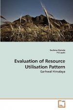 Evaluation of Resource Utilisation Pattern