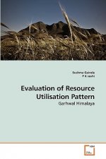 Evaluation of Resource Utilisation Pattern