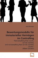 Bewertungsmodelle fur immaterielles Vermoegen im Controlling