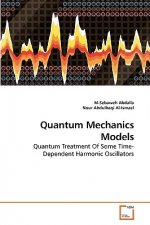 Quantum Mechanics Models