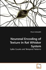 Neuronal Encoding of Texture in Rat Whisker System