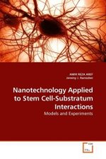Nanotechnology Applied to Stem Cell-Substratum Interactions