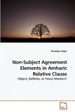 Non-Subject Agreement Elements in Amharic Relative Clause