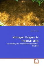 Nitrogen Enigma in Tropical Soils